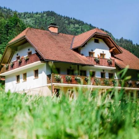 Na Logu - Farm Stay Ambroz Gregorc Solčava Екстериор снимка