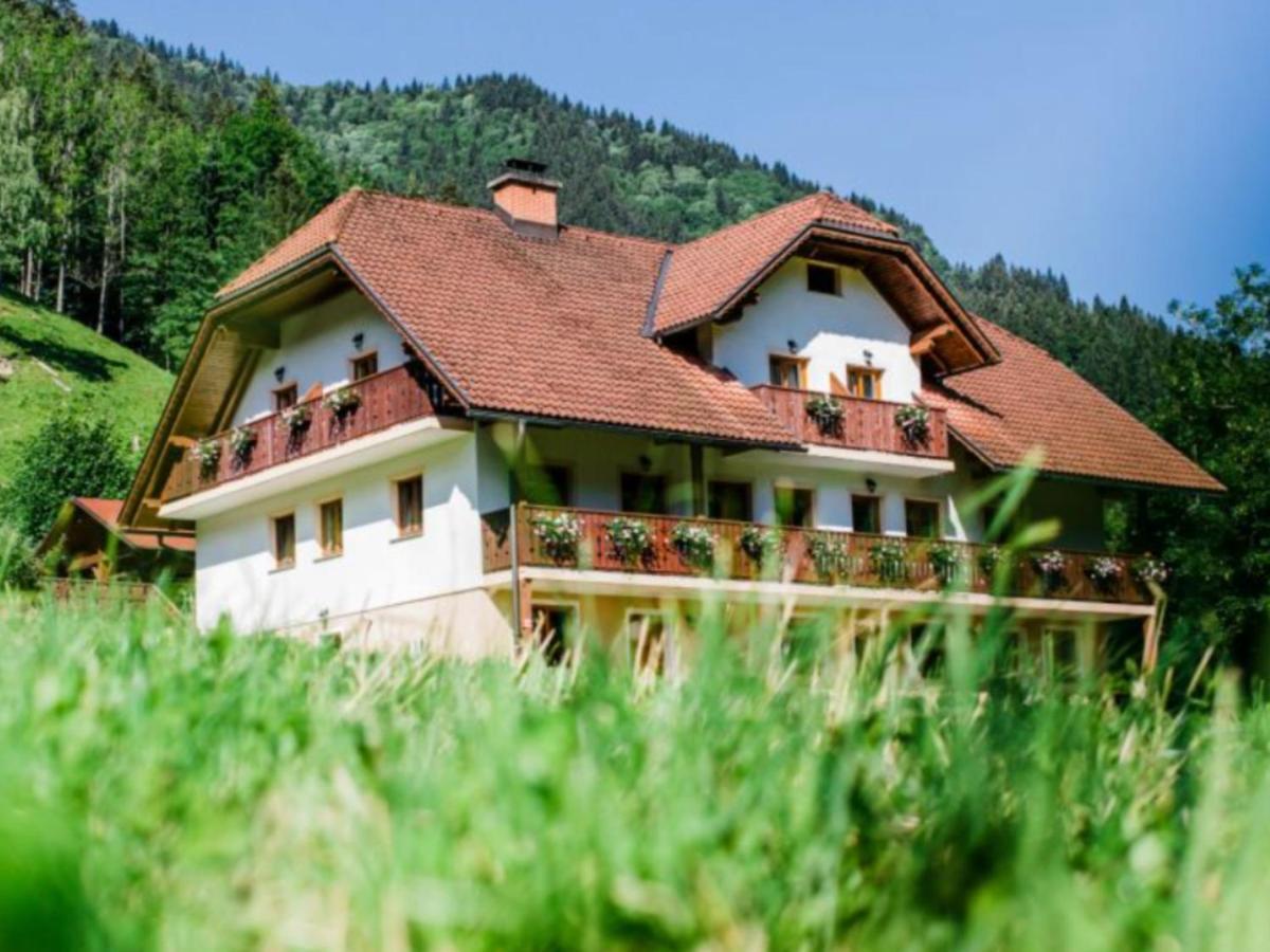 Country House - Turisticna Kmetija Ambroz Gregorc Villa Solčava Екстериор снимка