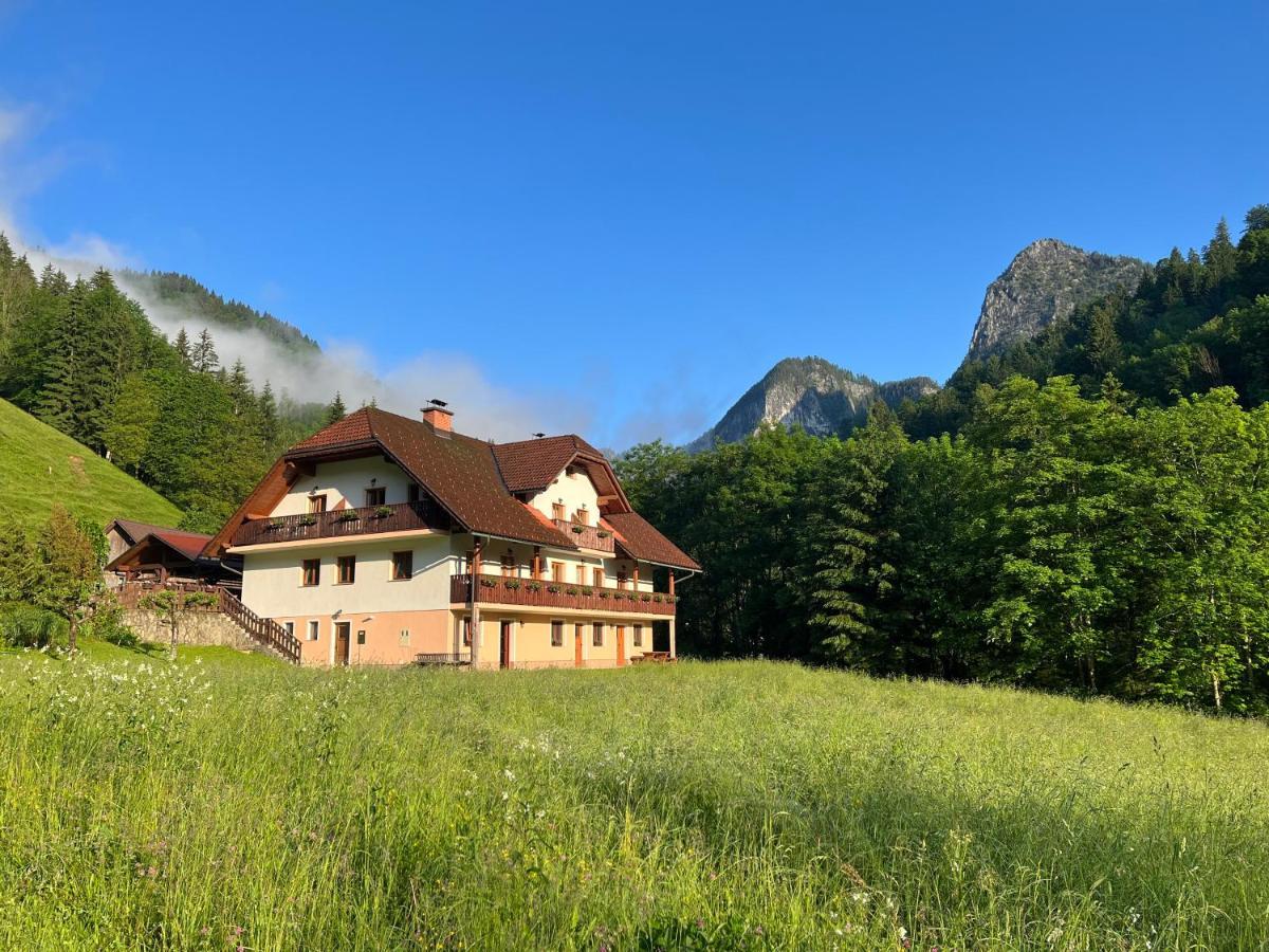 Na Logu - Farm Stay Ambroz Gregorc Solčava Екстериор снимка