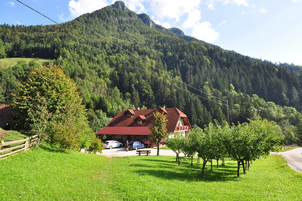 Na Logu - Farm Stay Ambroz Gregorc Solčava Екстериор снимка