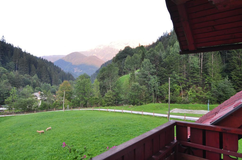 Na Logu - Farm Stay Ambroz Gregorc Solčava Стая снимка