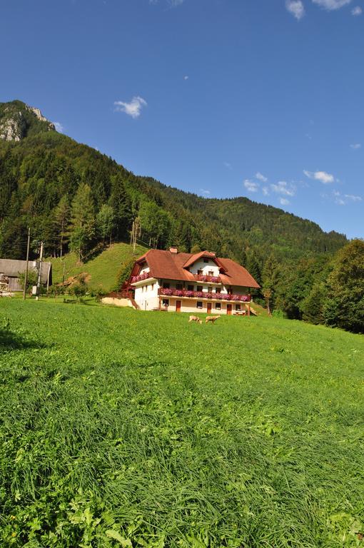 Na Logu - Farm Stay Ambroz Gregorc Solčava Екстериор снимка